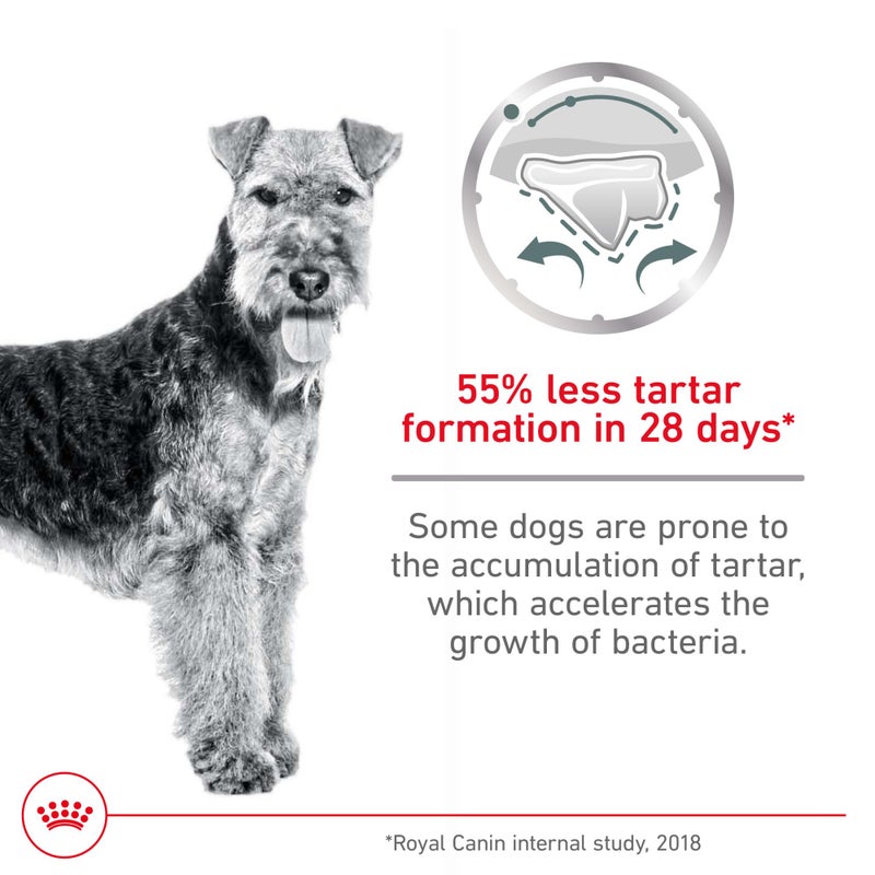 Royal Canin Canine Care Nutrition Medium Dental Care Adult Dry Dog Food, 28 lb Bag - Image 2